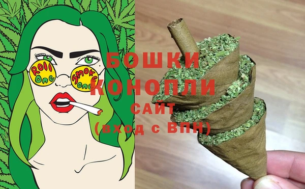 ECSTASY Дмитриев
