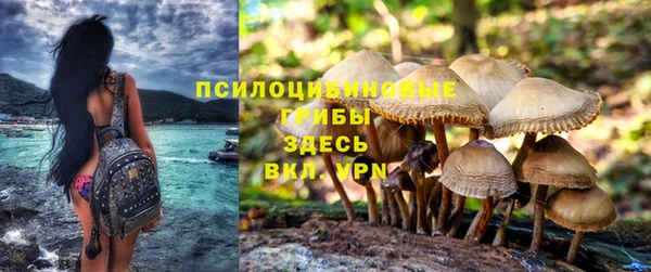 таблы Дмитровск