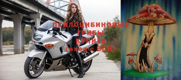 прущие крисы Дмитров