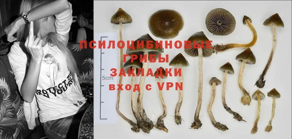 прущие крисы Дмитров
