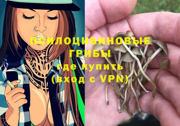 ECSTASY Дмитриев
